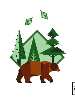 Brown bear - Vector graphics